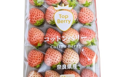 Japanese Nara Awayuki Cotton Strawberry 日本奈良淡雪棉花莓草莓
